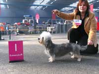 Ned en Int Ch Bardolynn´s Doucet Annabel 