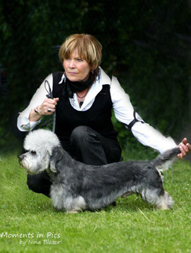 German Dandies' Nevio, photo: Nina Bläser