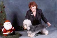 "Buon Natale" wünscht Mrs. Anna Gioia Taucci (I) 
