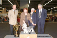 Best in Show  - Pennywise Sunjoy Surprise