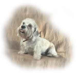 Piper Charley
