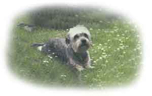 Piper Countrygirl