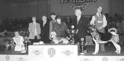 BIS - CACIB-European Winner Show DORTMUND 2002