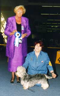 World Winner 2003 - Pennywise Patriot Games
