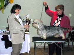 GERMAN OPEN - Dandie of the Year 2000 - Ch. Gulliver z Roxburku Sun
