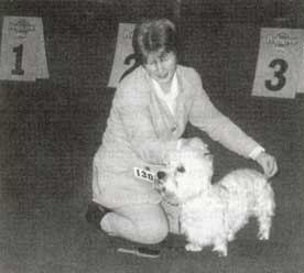 Miss Angela Peacock mit Fernroyal Arisan