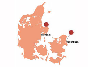 Dandiezüchter in Dänemark