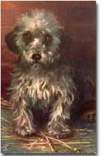 Künstlerin: Maud West Watson