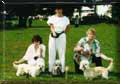 Klunsieger:, v.l.n.r: Ch.German Dandies' Honey-Bee  . Ch. Swanwillow Dainty Delight - German Dandies' Humphrey