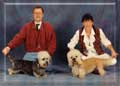Europasieger '94 - Ch.German Dandies' Earl of Speedy % Ch. Swanwillow Dainty Delight - Bes./own M & M Rosenbaum, Germany