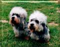v.l.n.r. Gregoria und Ghillie