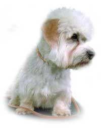 Humphrey Hemingway vom Adelsberg
