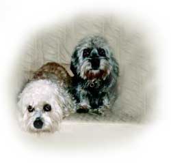 Tiffany und Viktoria