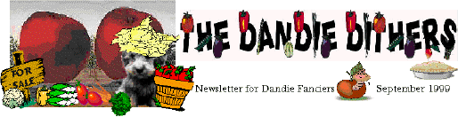 The Dandie Dithers
