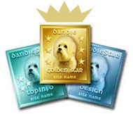 Winner of Dandie Golden Star