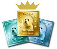 Winner of Dandie Golden Star