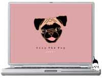 OzzyThePug