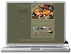 SW Photography
