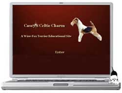 Casey's Celtic Charm