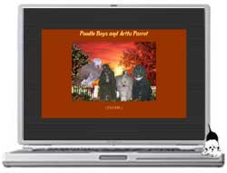 Poodle Boys and Arttu Parrot