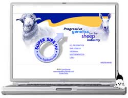Super Sire Ltd.