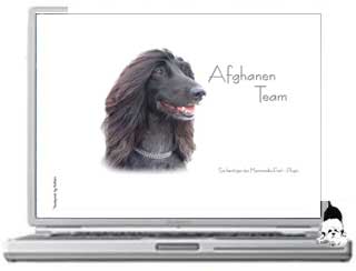 Afghanen Team ..... die Welt des afghanischen Windhundes