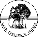 Klubowa terierow