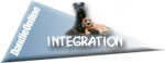 Integration